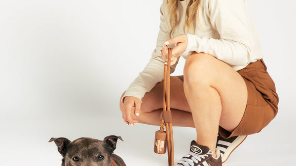 Hond draagt een gepolsterd hondentuig van UNBORINGBYPIP