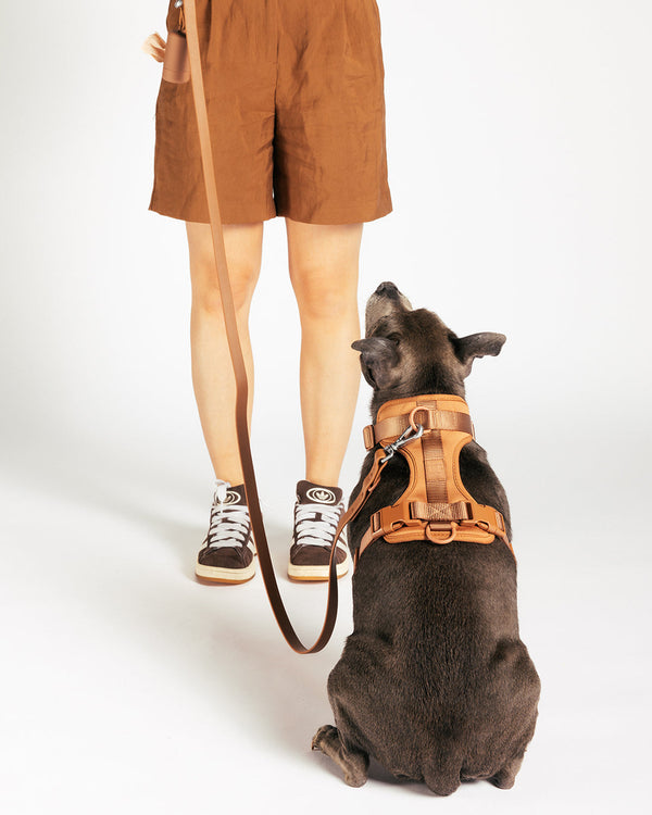 UNBORINGBYPIP dog harness in Cocoa, can also be worn under a raincoat