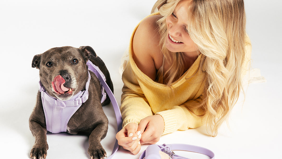 Verstelbaar puppytuigje van UNBORINGBYPIP dat meegroeit