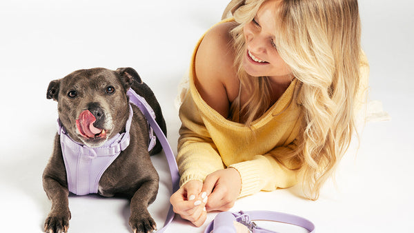Verstelbaar puppytuigje van UNBORINGBYPIP dat meegroeit