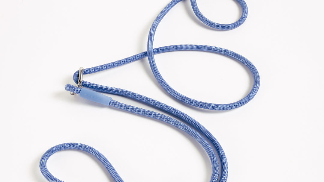 Schokdempende hondenriem van UNBORINGBYPIP