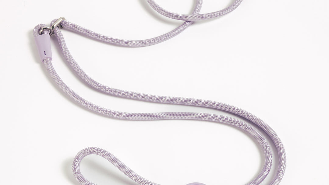 Handsfree hondenriem van UNBORINGBYPIP, ideaal om mee te hardlopen