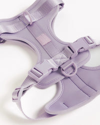 Hondentuigje  - Lilac - UNBORINGBYPIP