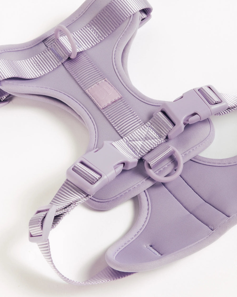 Hondentuigje  - Lilac - UNBORINGBYPIP
