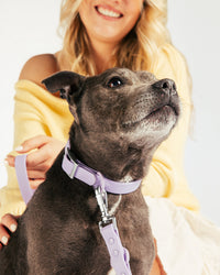 Waterproof Hondenhalsband - Lilac - UNBORINGBYPIP