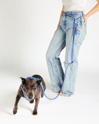 Handsfree Hondenriem - Moonlight Blue - UNBORINGBYPIP