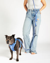 Handsfree Hondenriem - Moonlight Blue - UNBORINGBYPIP