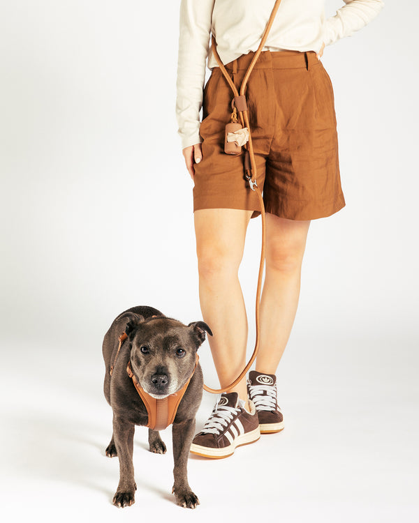 Cocoa Handsfree Dog Leash by UNBORINGBYPIP