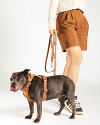 Waterproof Hondenriem - Cocoa - UNBORINGBYPIP