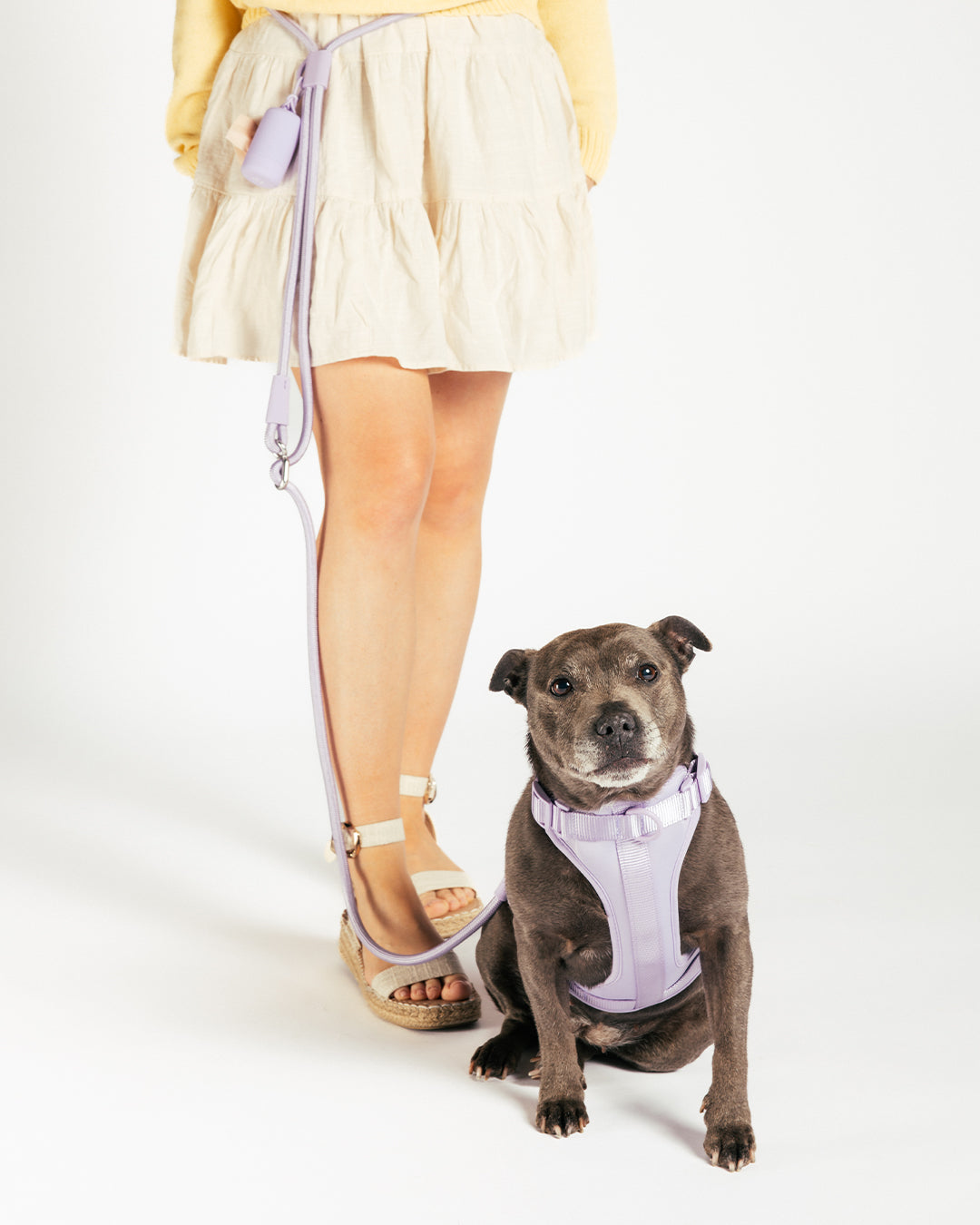 Handsfree Hondenriem - Lilac - UNBORINGBYPIP