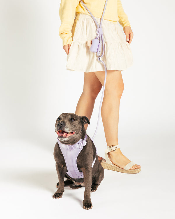 Handsfree Hondenriem - Lilac - UNBORINGBYPIP
