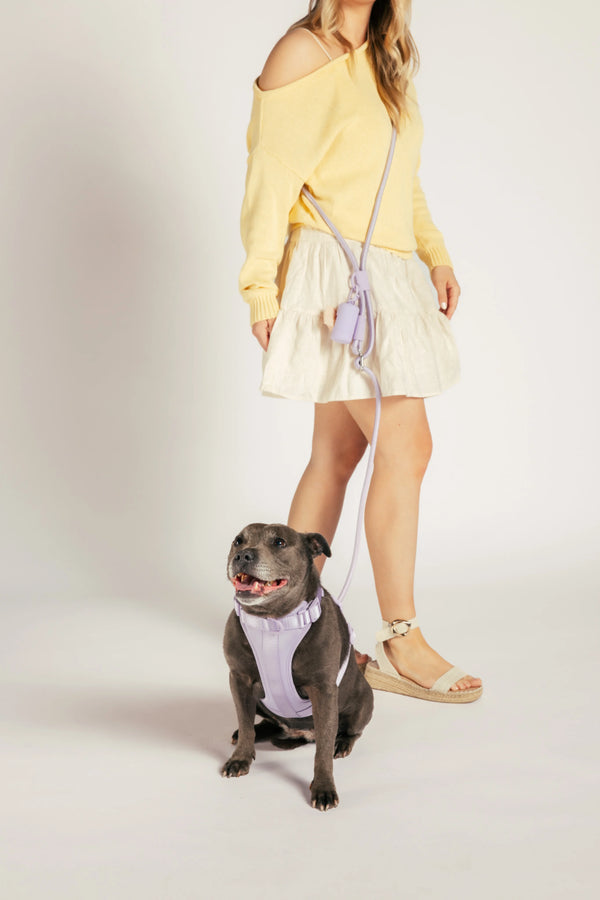 Unboring Handsfree Hondenriem - Lilac
