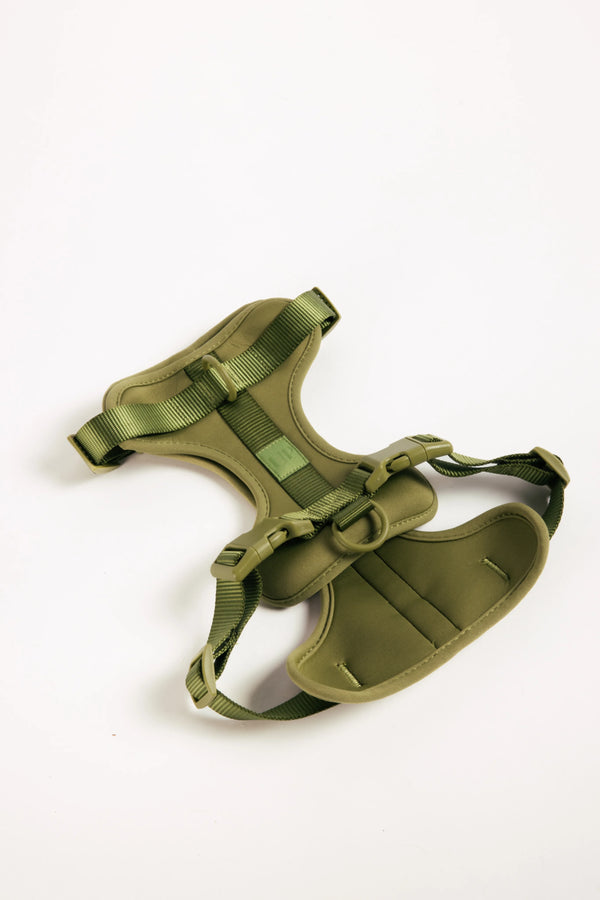 Unboring Dog Harness - Moss