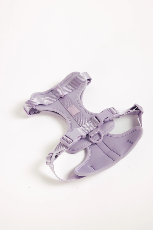 Unboring Dog Harness - Lilac