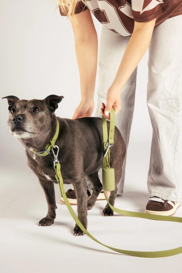 Unboring Waterproof Hondenriem - Moss