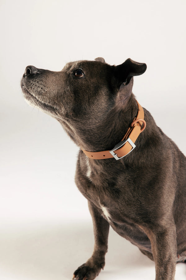 Unboring Waterproof Hondenhalsband - Cocoa