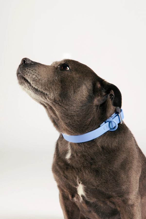 Unboring Waterproof Hondenhalsband - Moonlight Blue