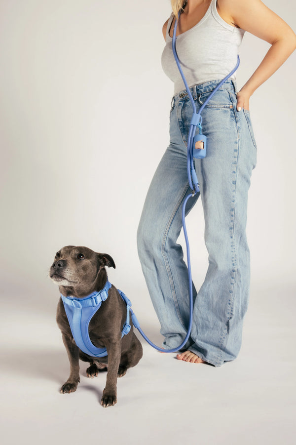 Unboring Dog Harness - Moonlight Blue