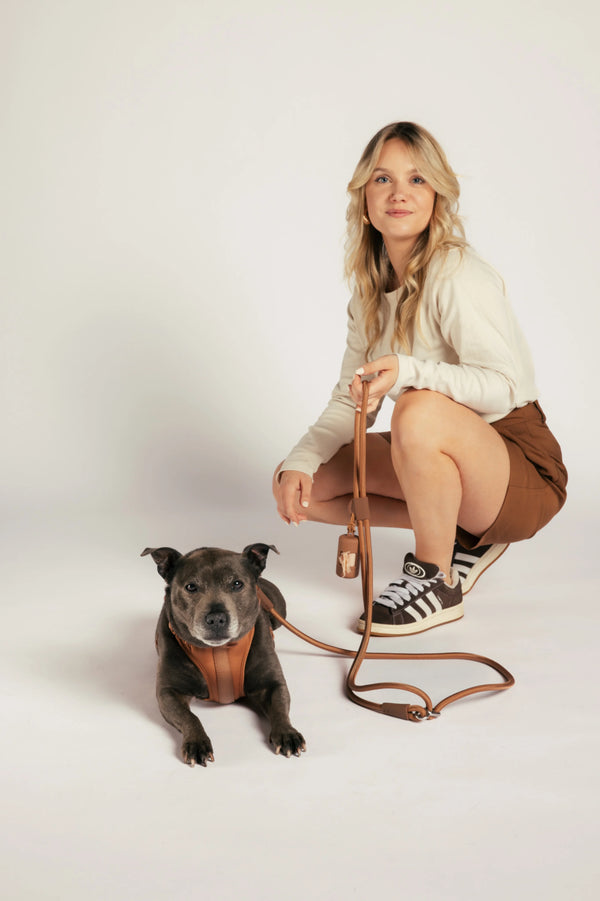 Unboring Dog Harness - Cocoa