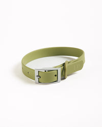 Waterproof Hondenhalsband - Moss - UNBORINGBYPIP