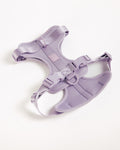Hondentuigje  - Lilac - UNBORINGBYPIP