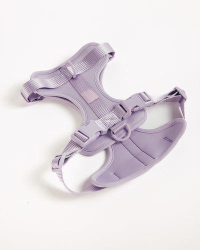 Hondentuigje  - Lilac - UNBORINGBYPIP