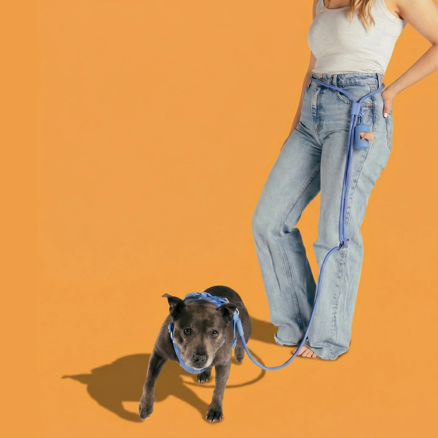 Hands-Free Dog Leash