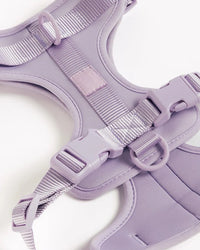 Harnais rembourré pour chien - Lilac - détail