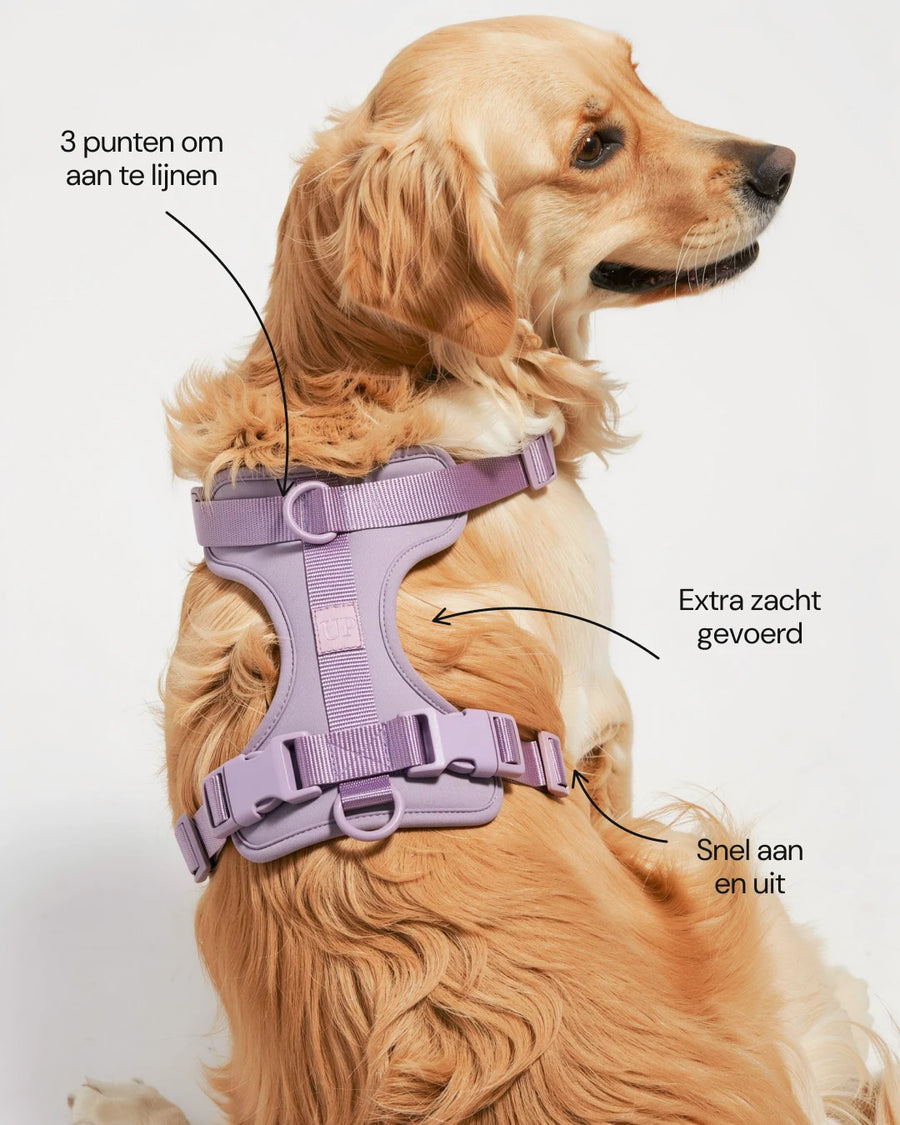 Harnais rembourré pour chien - Lilac - caractéristiques