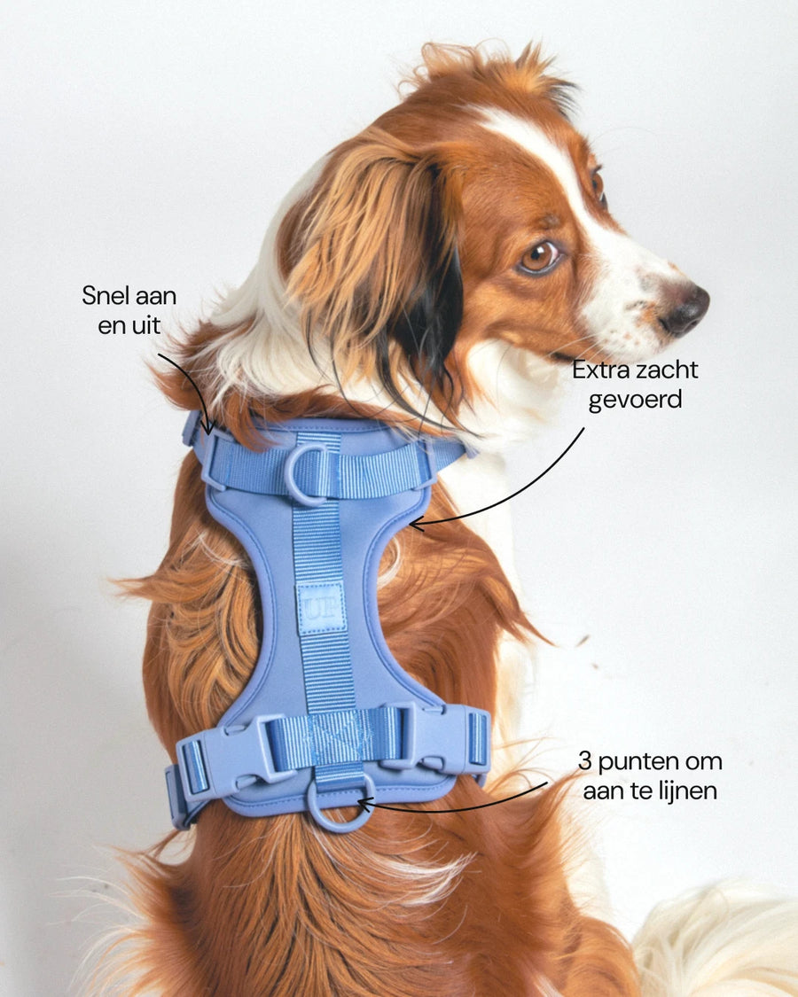 Harnais rembourré pour chien - Moonlight Blue - caractéristiques
