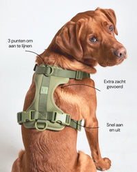 Harnais rembourré pour chien - Moss - caractéristiques