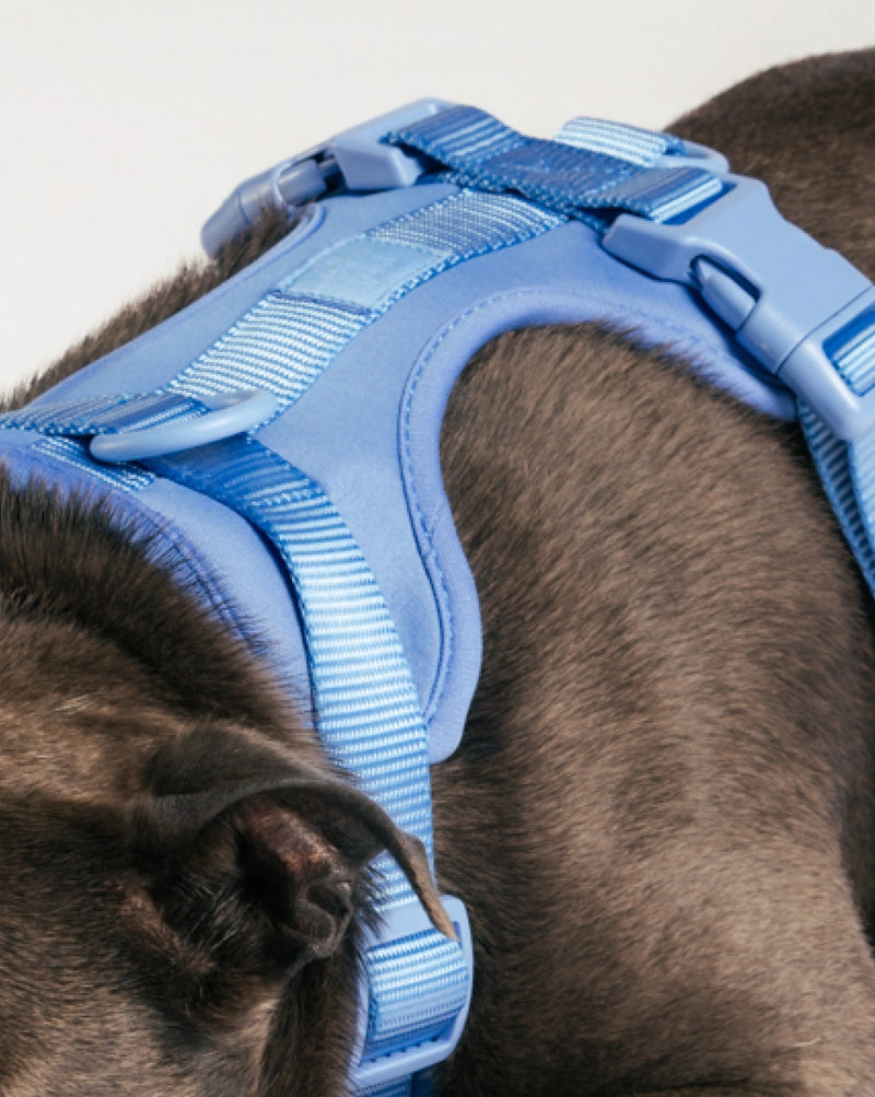 Dog Harness by UNBORINGBYPIP