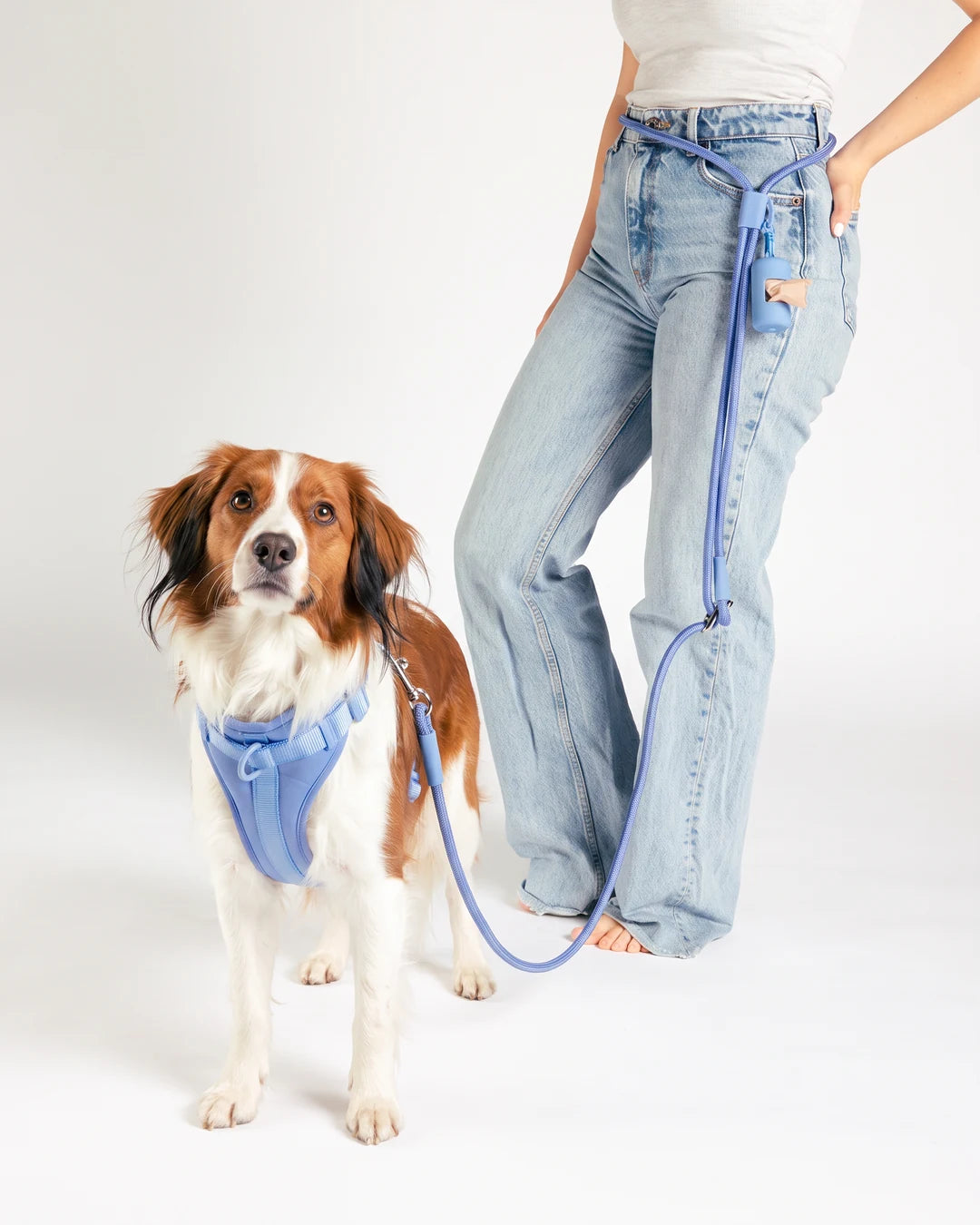 Hands-Free Rope Dog Leash - Moonlight Blue - lifestyle