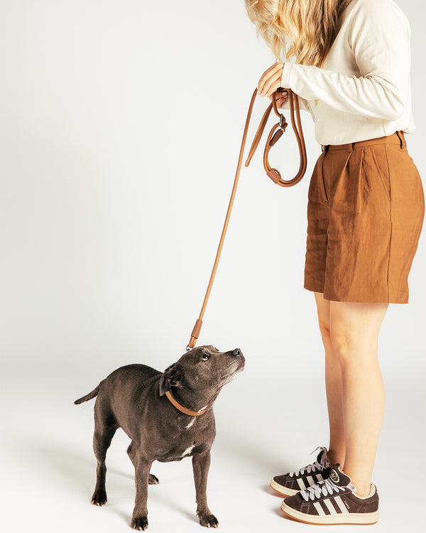 Handsfree Dog Leash with Waterproof Dog Collar by UNBORINGBYPIP