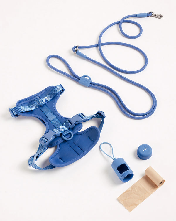 Handsfree Walking Kit by UNBORINGBYPIP