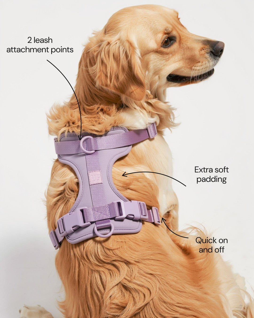 Cushioned Dog Harness - Lilac - features