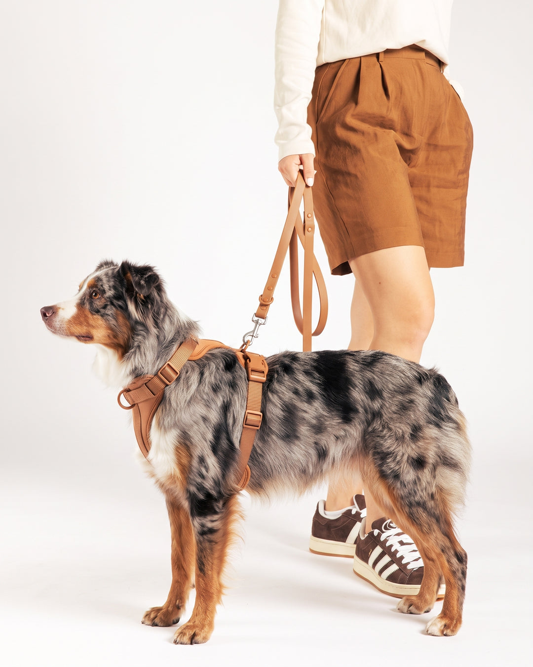 Laisse imperméable pour chien - Cocoa - porté par le chien