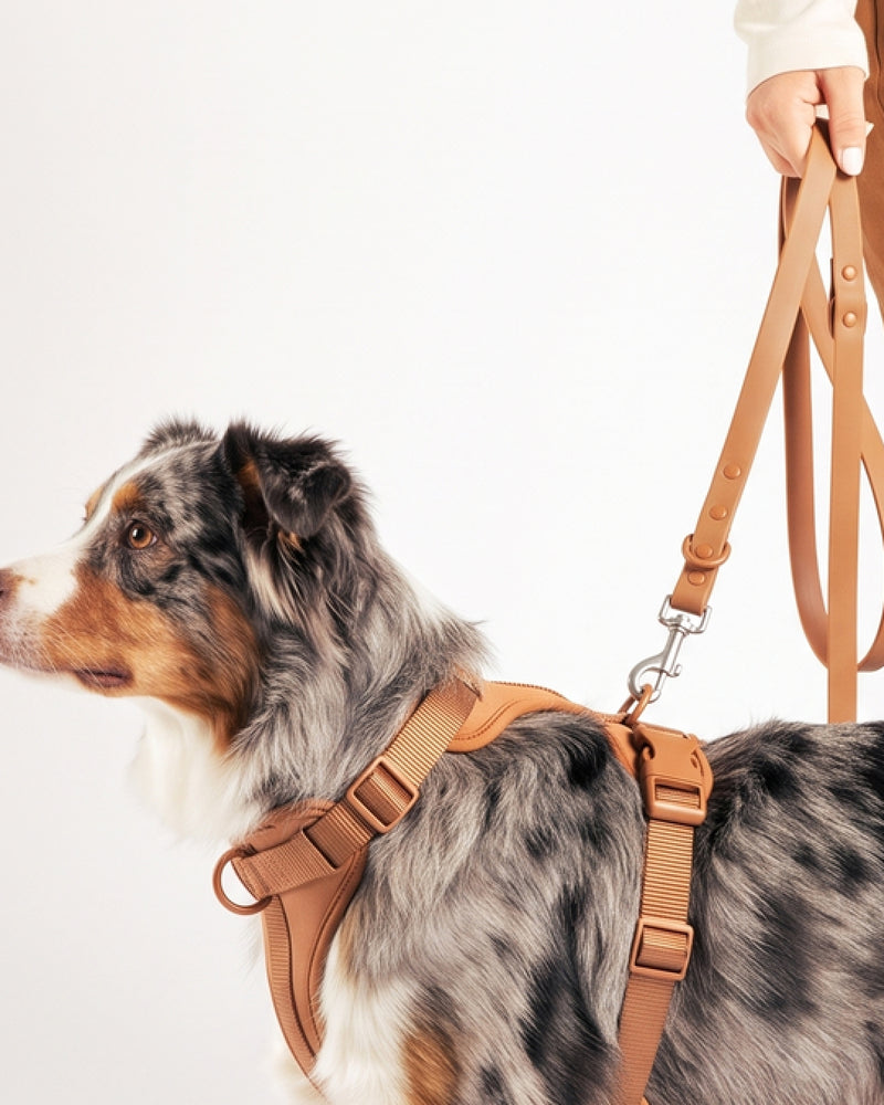 Waterproof Dog Leash - Cocoa - two lengths or two dogs