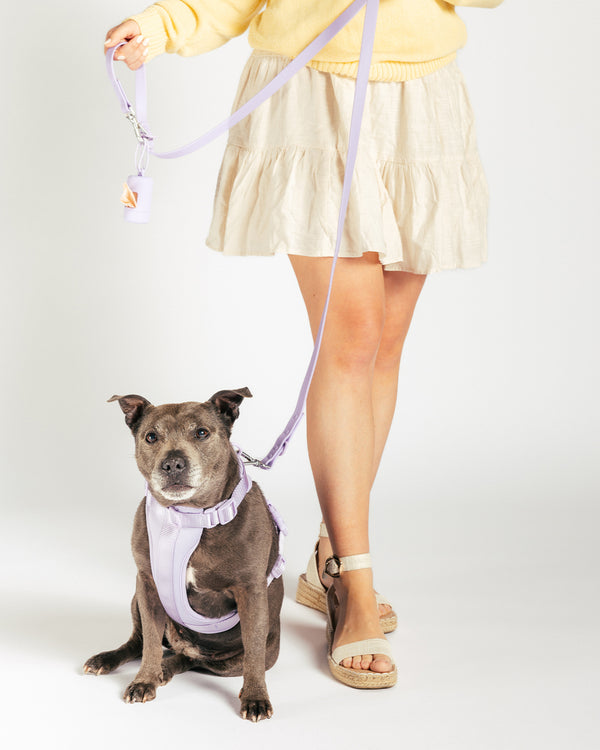 Lilac Waterproof Dog Leash by UNBORINGBYPIP