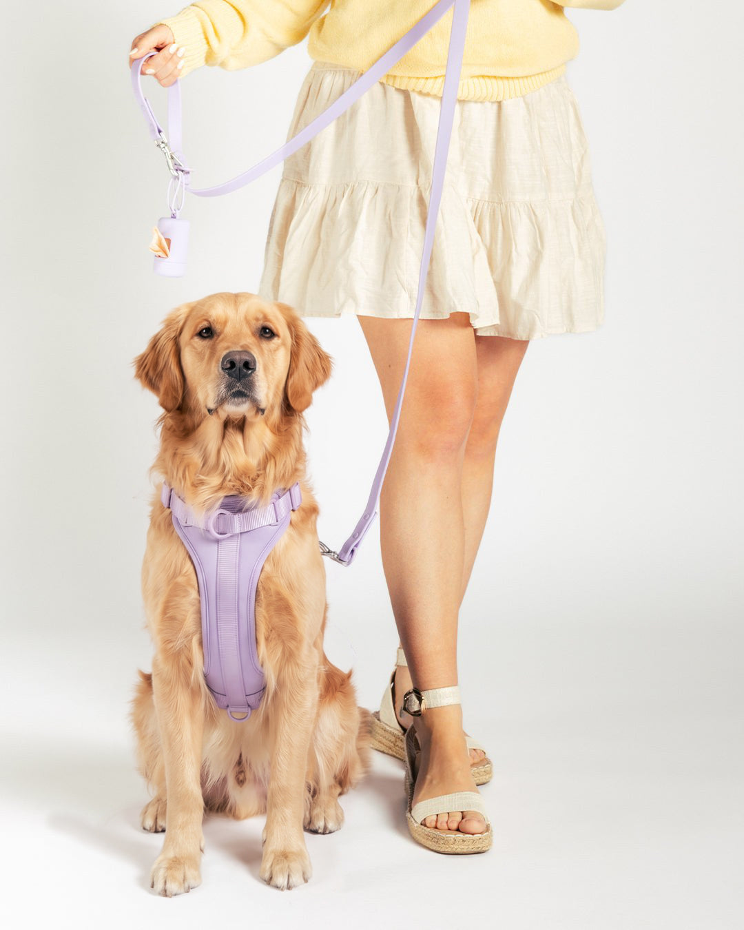 Laisse imperméable pour chien - Lilac - porté par le chien