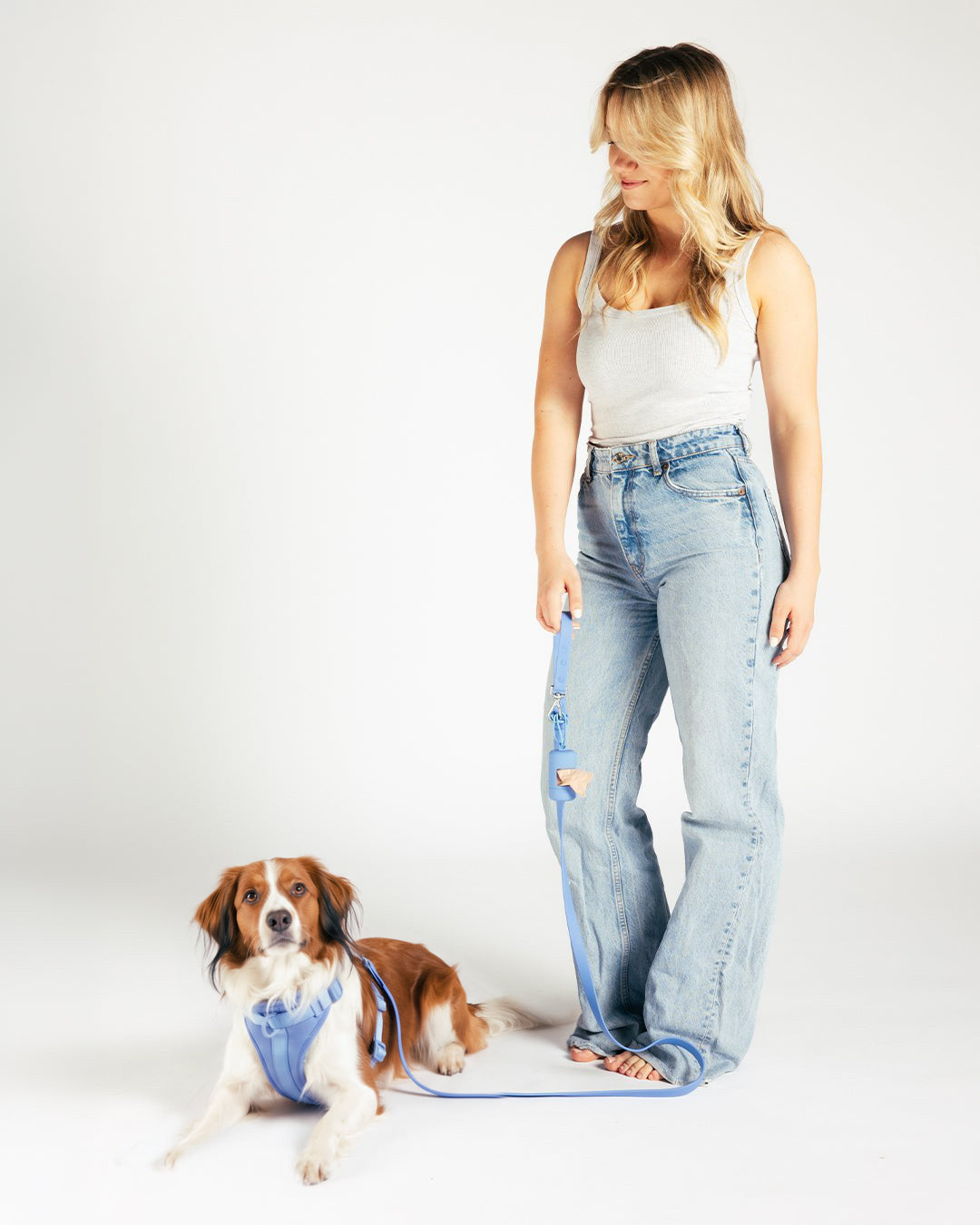 Guinzaglio impermeabile per cani - Moonlight Blue - indossata dal cane
