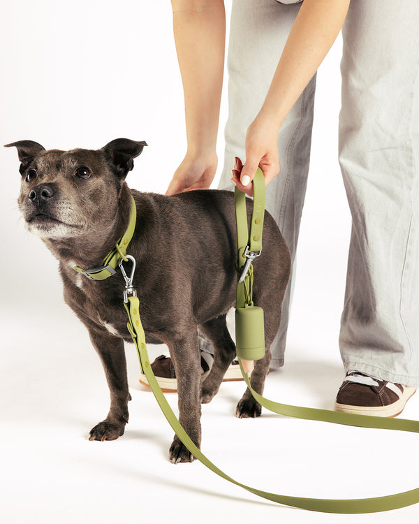 Moss Waterproof Dog Leash by UNBORINGBYPIP