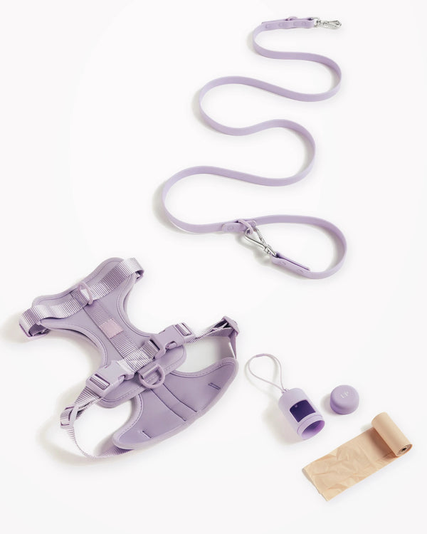 Waterproof Harness Walking Kit by UNBORINGBYPIP